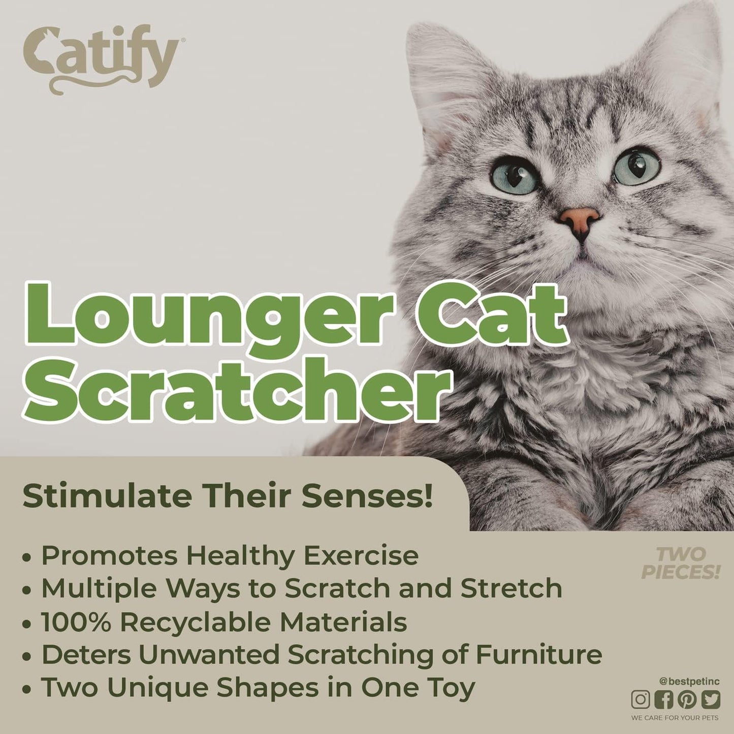 Catify Cat Scratcher, Fun Interactive Scratchers,, Furniture Saver Indoor Play, Heavy Duty